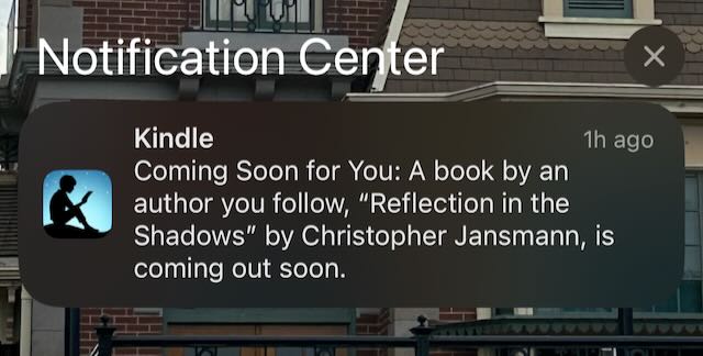 Tidbits: Reflection in the Shadows