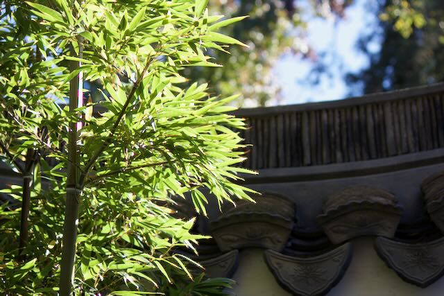 Plausibility and Perspective